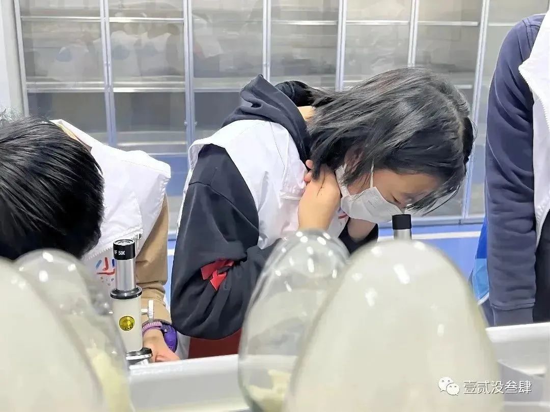 2023-03-25 152531.jpg